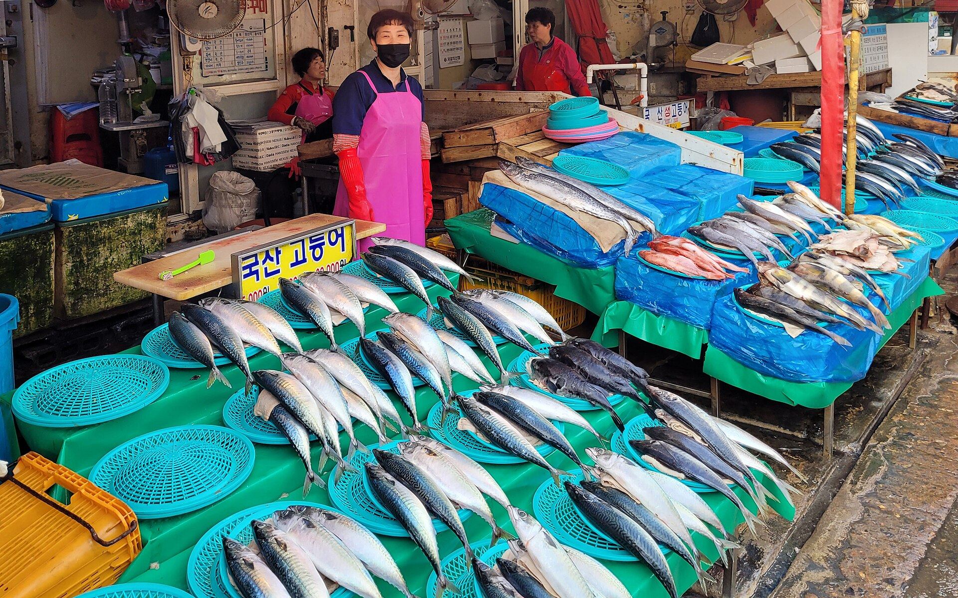 Fresh fish stalls at Jagalchi Market